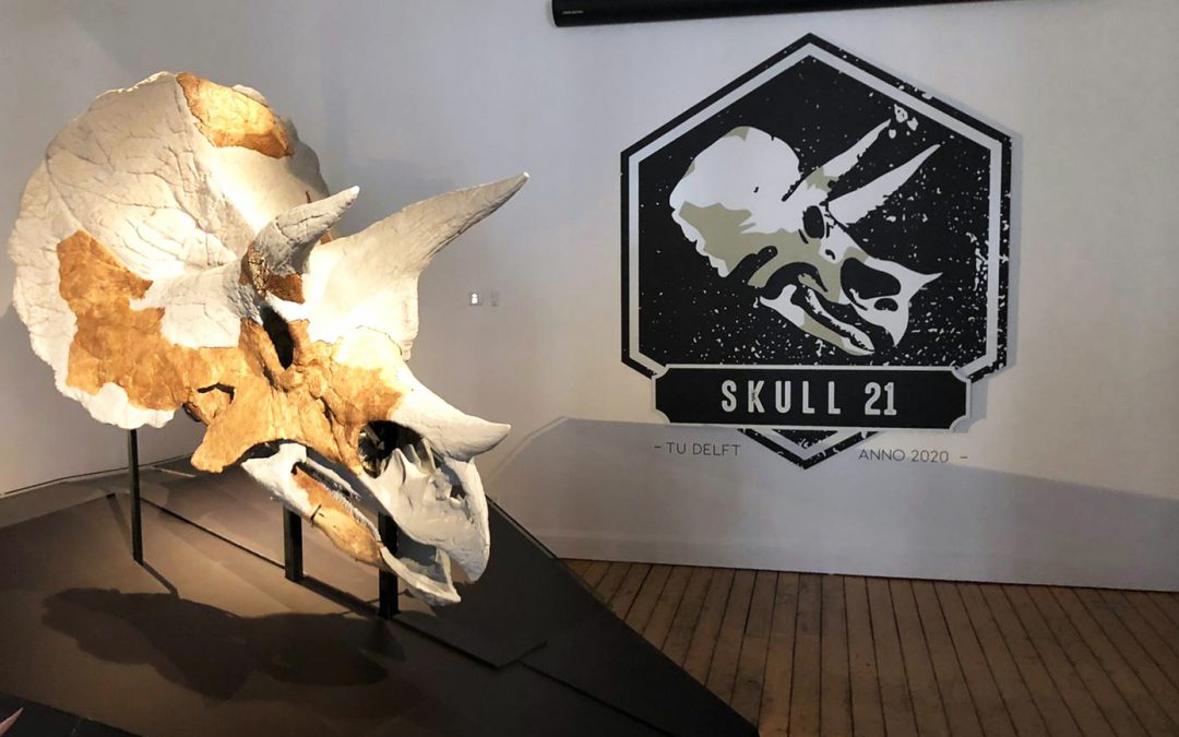 TU Delft Skull 21