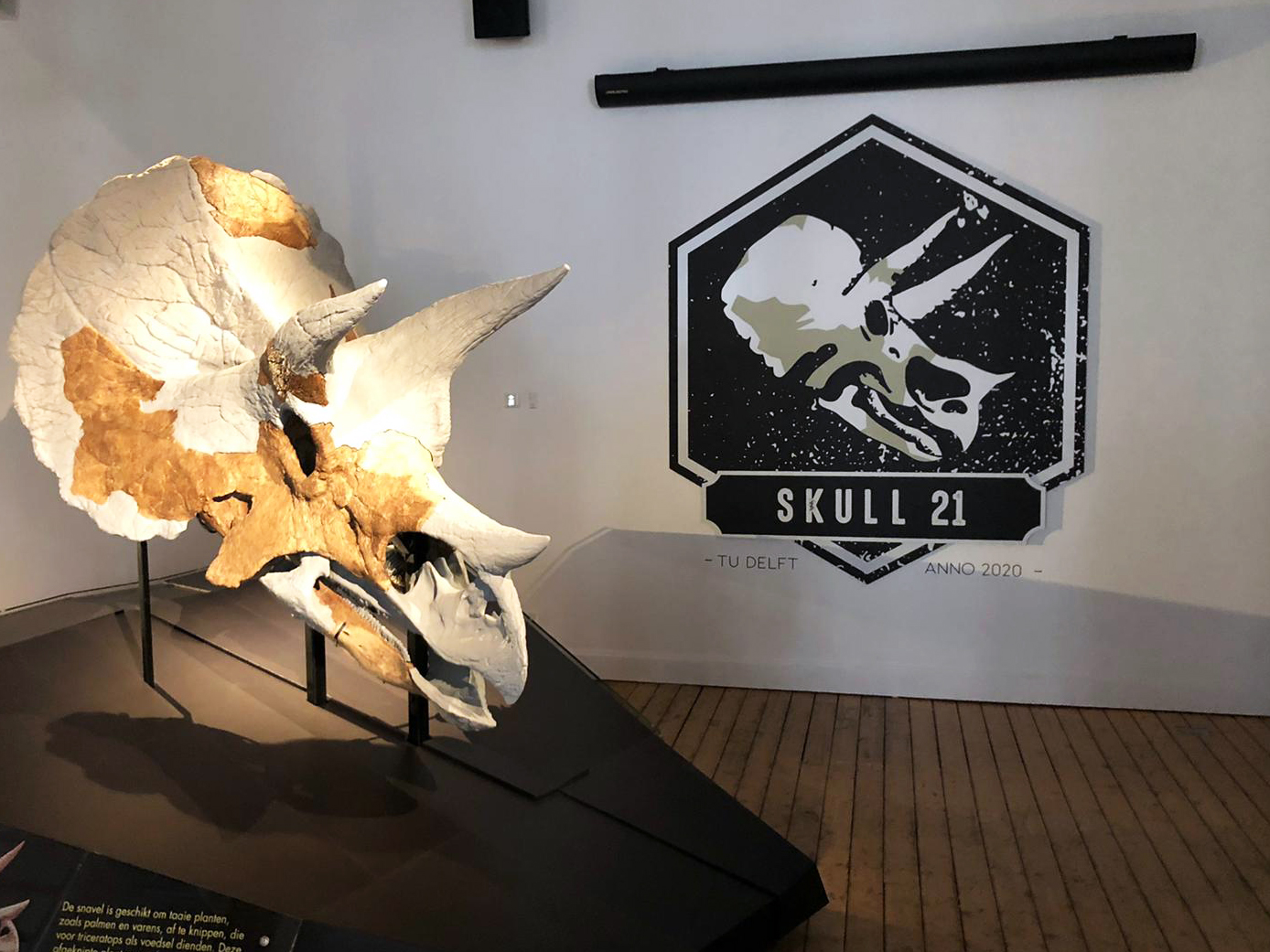 TU Delft Skull 21 - DSIGN SQUAD